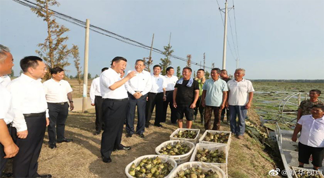 东方彩泡棉厂家定制