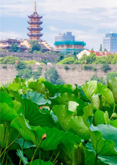 东方彩泡棉厂家定制