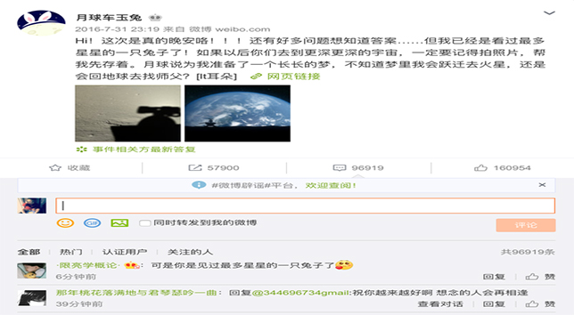 东方彩泡棉厂家定制