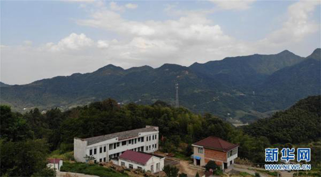 东方彩泡棉厂家订制
