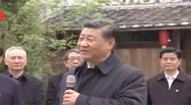 东方彩泡棉厂家订制