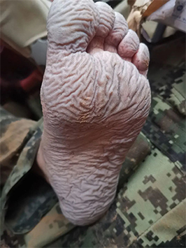 东方彩泡棉订制